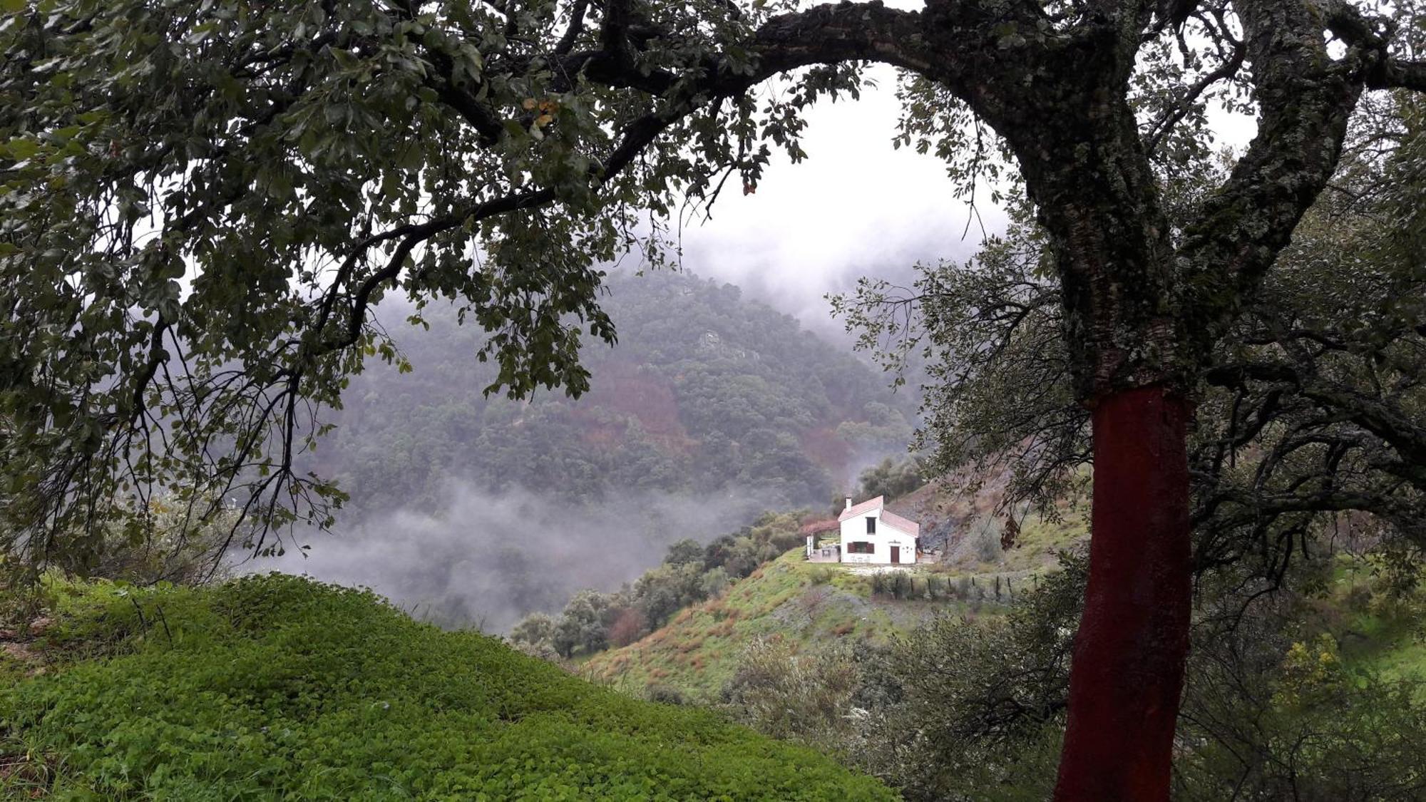 La Casa De La Era Villa Algatocín Exteriör bild